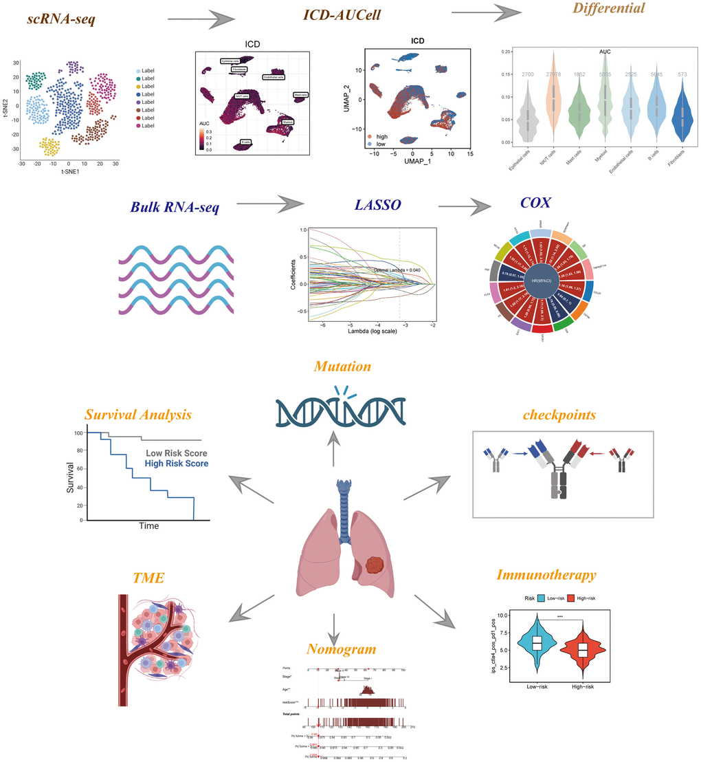 The flowchart of this investigation. To integrate multiple datasets to explore the role of ICD in the TME of LUAD, and to construct a signature to predict the prognosis and immunotherapy of LUAD patients.