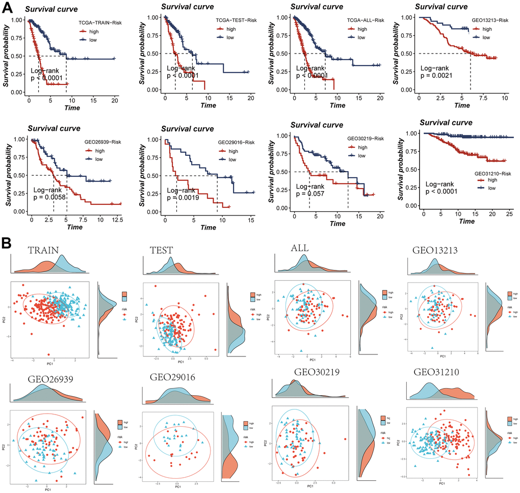 Assessment of risk models. (A) Kaplan-Meier survival analysis of signatures in the TCGA and five GEO datasets. (B) Observation of the distribution of samples in high- and low-risk groups using PCA analysis.