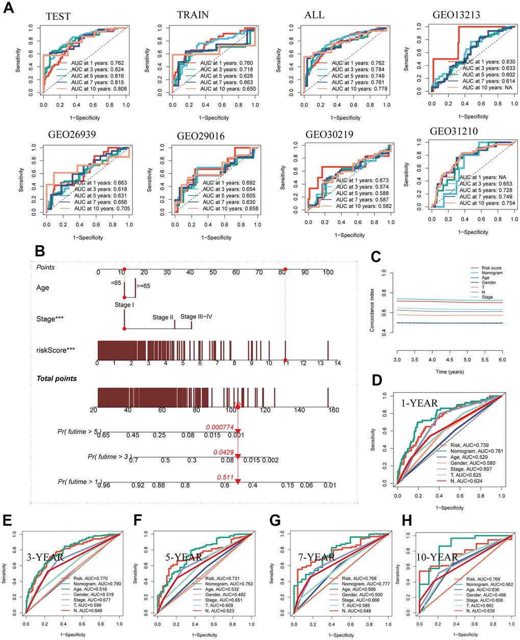 Building a more accurate nomogram. (A) The ROC curve was used to evaluate the performance of the model in the TCGA and five GEO datasets. (B) Nomogram was constructed by combining clinical features with risk groups. (C) C-index curves were utilized to evaluate the predictive performance of different clinical characteristics, nomogram scores, and risk scores. (D–H) ROC curves for 1, 3, 5, 7, and 10 years showed AUC values for various clinical factors, risk scores, and nomogram scores.