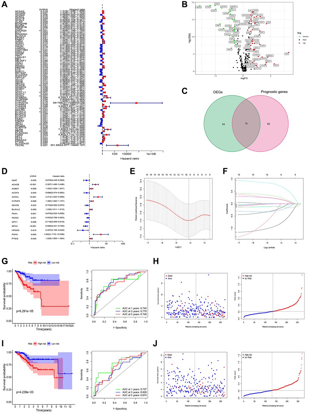 Screening of prognosis FAMGs and construction of prognosis model. (A) Univariate Cox regression analysis to identify the candidate prognosis-related hub LMGs in UCEC. (B) volcano plot of Differentially expressed LMGs (DEFAMGs): upregulated DELMGs are indicated by red dots, and downregulated DELMGs are indicated by green dots. (C) The DEIRGs were intersected with the prognosis-related LMGs. (D) A univariate analysis of the intersection genes was obtained. (E) Partial likelihood deviation was plotted relative to the logarithm of lambda in 10-fold cross-validation. (F) The trajectory graph of each variable. (G) Survival curves and ROC curves of high and low risk groups in the training group. (H) The risk score value of each sample, the survival status ranked from low to high-risk scores in the training group. (I) Survival curves and ROC curves of high and low risk groups in the test group. (J) The risk score value of each sample, the survival status ranked from low to high-risk scores in the test group.