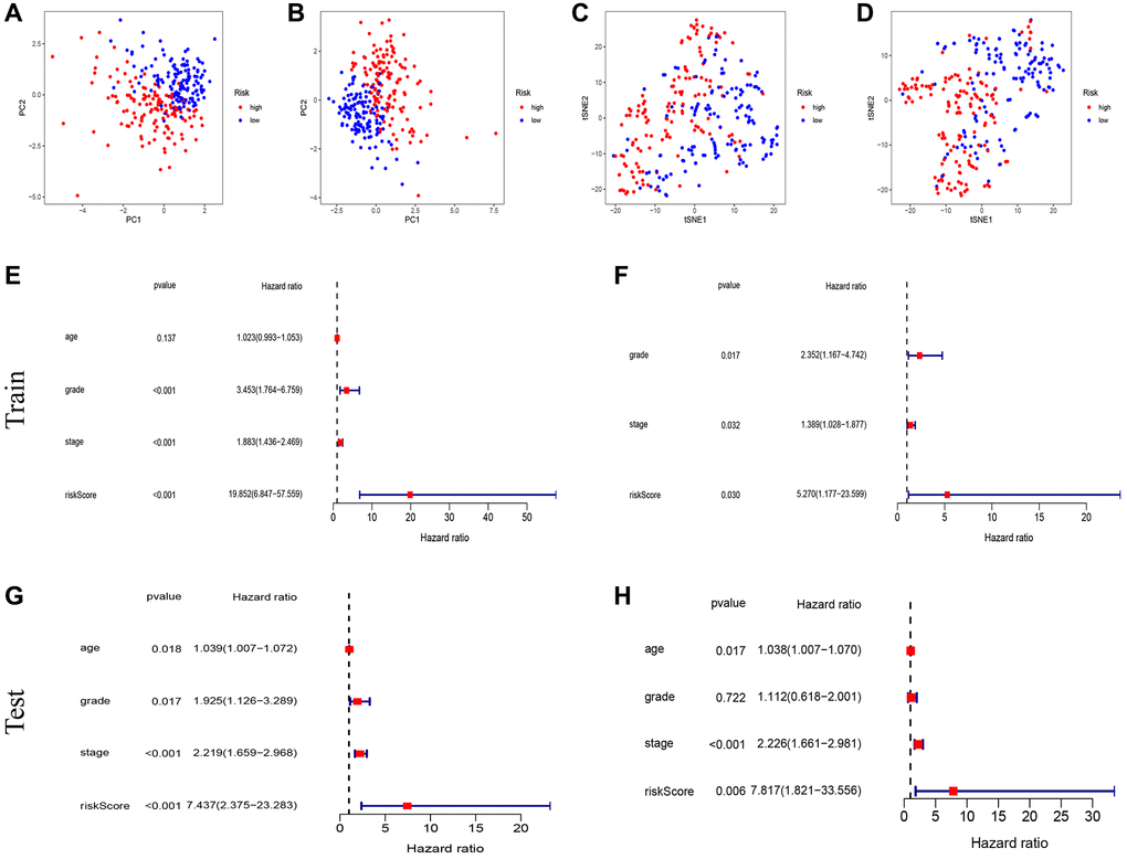 Test of risk prediction model for UCEC patients. PCA plot for (A) training sets and (B) test sets. T-SNE analysis for (C) training sets and (D) test sets. (E, F) Univariate and multivariate analysis were performed to assess the clinicopathological prognostic value of the prediction model in the training group. (G, H) Univariate and multivariate analysis were performed to assess the clinicopathological prognostic value of the prediction model in the test group.