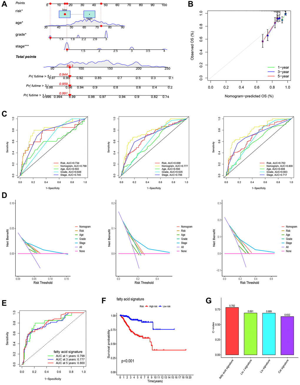 Establishment of nomogram and comparison with existing models. (A) Nomogram for predicting the 1-, 3-, and 5-year OS of UCEC patients. (B) Calibration curves for the prediction of 1-, 3- or 5-year overall survival of UCEC patients. (C) ROC curves for predicting the 1-, 3-, and 5-year OS of UCEC patients. (D) Decision Curve Analysis (DCA) curves for predicting the 1-, 3-, and 5-year OS of UCEC patients. (E, F) Survival curves and ROC curves of high and low risk groups in the model constructed by us. (G) C-index comparison of inflammatory models with other models.