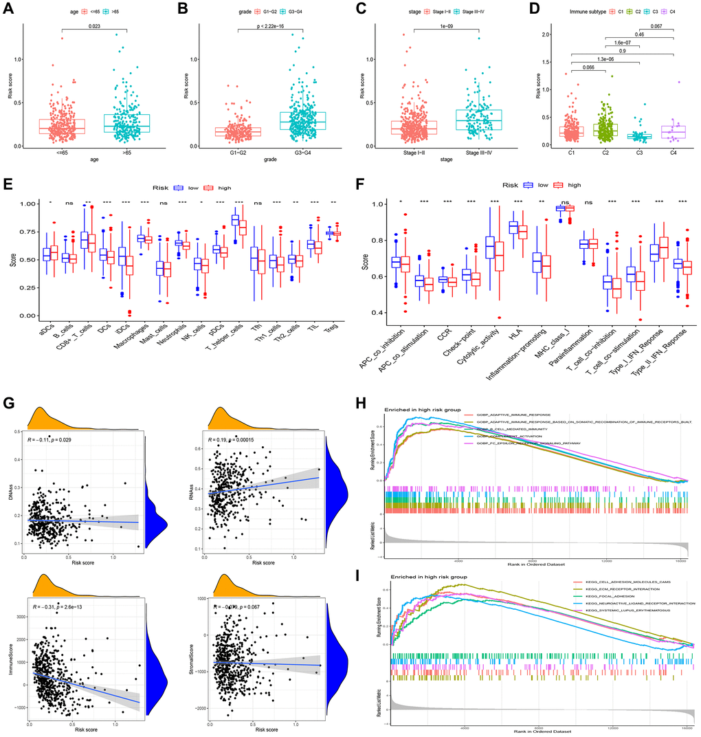 Gene set enrichment analysis (GSEA) of biological functions and the association between risk score and tumor microenvironment. The risk score in different groups divided by age (A), grade (B), stage (C) and immune subtype (D). Comparison of the risk score in different immune infiltration. (E, F) The relationship between risk score and the scores of 16 immune cells and 13 immune-related functions were showed in boxplots. (G) The relationship between risk score and DNAss, RNAss, Stromal Score and Immune Score. (H, I) GSEA showed eleven pathways enriched in the high-risk group. P values were showed as: Abbreviation: ns: not significant; *P **P ***P 