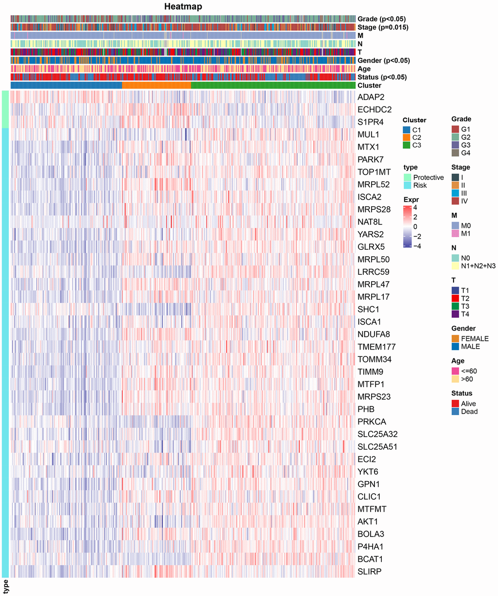 Relationship between gene expression profiles and clinical characteristics among molecular subtypes.