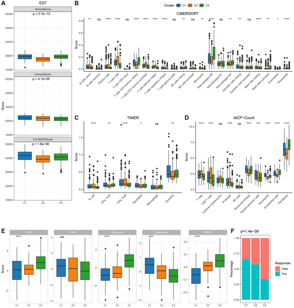 Immunological characteristics between molecular subtypes in TCGA cohort. (A) Differences in TCGA cohort ESTIMATE immune scores between molecular subtypes; (B) Differences in TCGA cohort TIDE scores and immune response between molecular subtypes CIBERSORT immune scores between molecular subtypes; (C) Differences in TCGA cohort TIMER calculated immune cell scores between molecular subtypes; (D) Differences in TCGA cohort MCP-Count immune scores between molecular subtypes; (E, F): TCGA cohort TIDE scores and immune response between molecular subtypes.