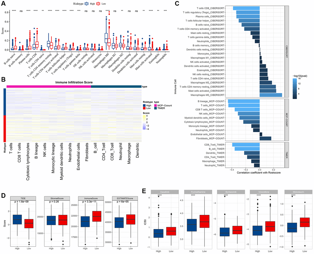 Immune and pathway characteristics between different risk groups. (A) difference in CIBERSORT immune infiltration between risk subgroups in TCGA cohort; (B) difference in MCP-count, TIMER immune score between risk subgroups in TCGA cohort; (C) correlation between immune score and RiskScore in TCGA cohort; (D) difference in TIDE score and ESTIMATE immune score between risk subgroups in TCGA cohort; (E) difference in drug sensitivity (IC50) between risk subgroups in TCGA cohort.