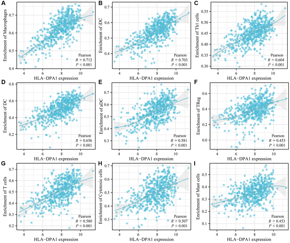 The correlation between the HLA-DPA1 overexpression and immune cell levels in LUAD using data from The Cancer Genome Atlas. (A) Macrophages; (B) iDC; (C) Th1 cells; (D) DC; (E) aDC; (F) TReg; (G) T cells; (H) Cytotoxic cells; (I) Mast cells. Abbreviations: LUAD: lung adenocarcinoma; DC: dendritic cells; Treg: regulatory T cells.