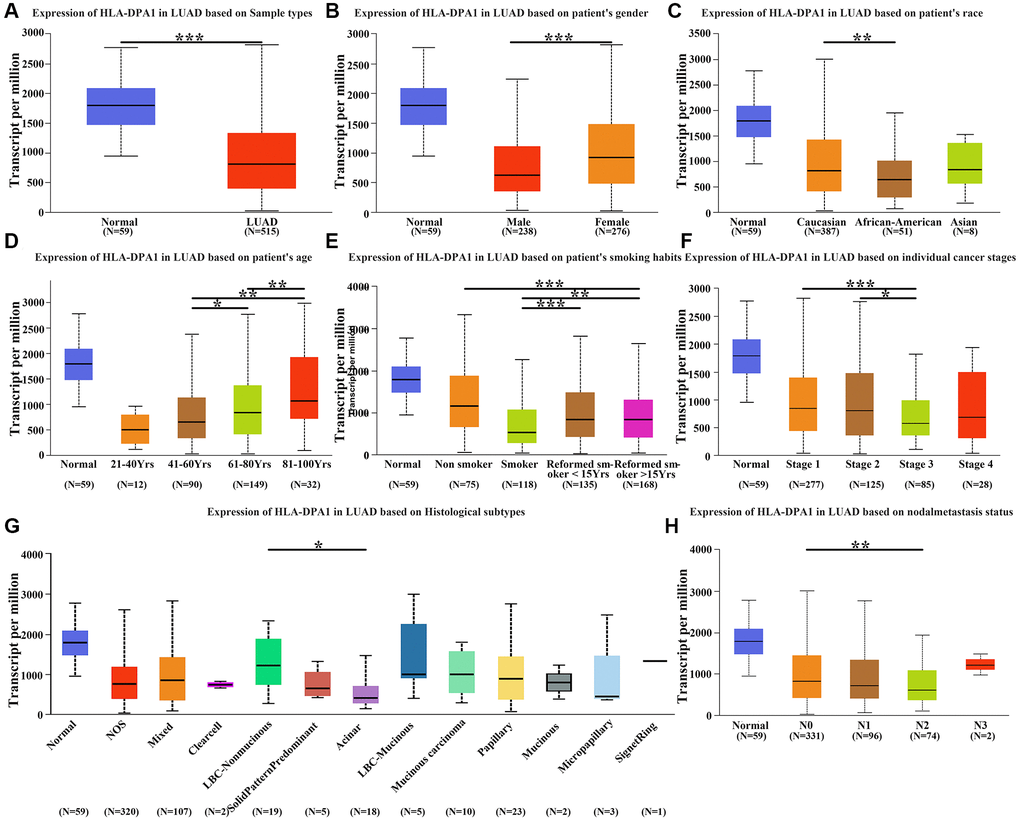 The correlation between the expression of HLA-DPA1 and demographic indicators in LUAD. (A) The expression of HLA-DPA1 in LUAD; its correlation with (B) Gender; (C) Race; (D) Age; (E) Smoking; (F) Clinical stage; (G) Tissue type; (H) Lymph node metastasis. Abbreviation: LUAD: lung adenocarcinoma; *P **P ***P 