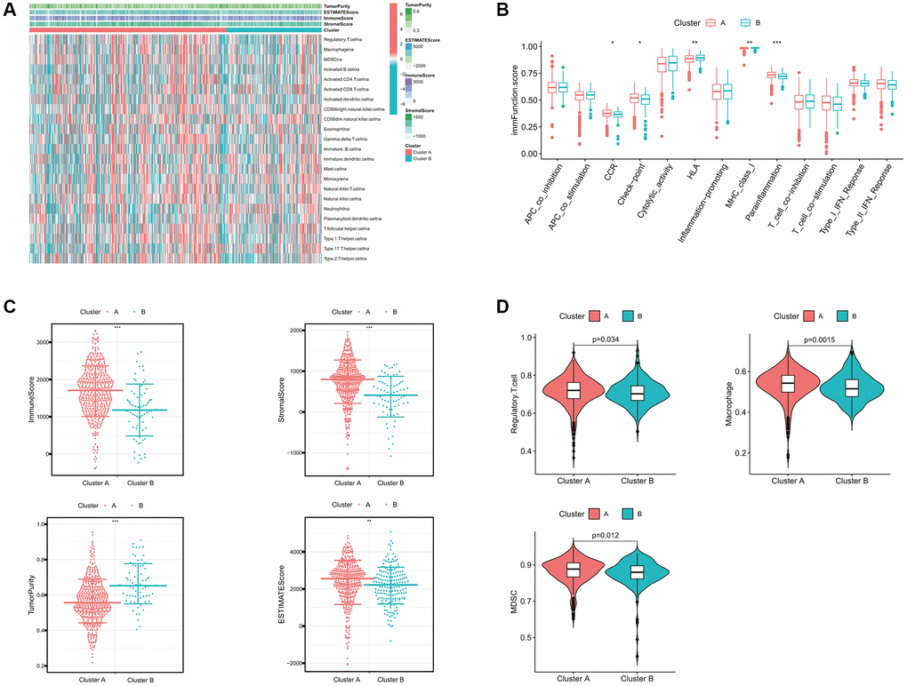 Comparison of the immune characteristics between cholesterol metabolic subtypes. (A) The heatmap showing the immune-related scores and immune cell infiltration levels of ccRCC samples. (B) Differential immune function analysis between cholesterol metabolic subtypes. (C) Differential analysis of immune-related scores between cholesterol metabolic subtypes based on the ESTIMATE algorithm. (D) Differential abundance analysis of major immunosuppressive cells between cholesterol metabolic subtypes based on the ssGSEA algorithm. *p-value **p-value ***p-value 