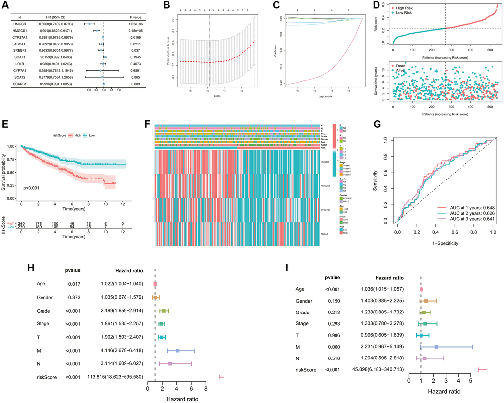 Construction of the cholesterol metabolic prognostic signature. (A) 5 prognostic genes were selected by the univariate Cox regression analysis (p-value B, C) A 5-mRNA signature was constructed by the LASSO Cox regression. (D) The curve of risk score and survival status of the patients showing a positive correlation between mortality and risk score. (E) The K-M survival curve showing the poorer survival probability of ccRCC patients in the high-risk group (p F) The heatmap showing the clinicopathological parameters, risk grouping situation, and expression levels of 4 model genes of ccRCC samples. (G) The AUC value of the ROC curve for predicting CM patients’ prognosis, indicating the robustness and accuracy of this 4-mRNA signature. (H, I) Predictive independence assessment of classical clinical predictors and our risk score by the (H) univariate and (I) multivariate Cox regression analysis.