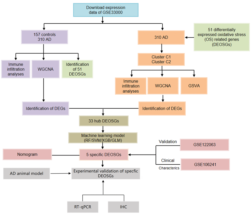 Flow chart of the study.