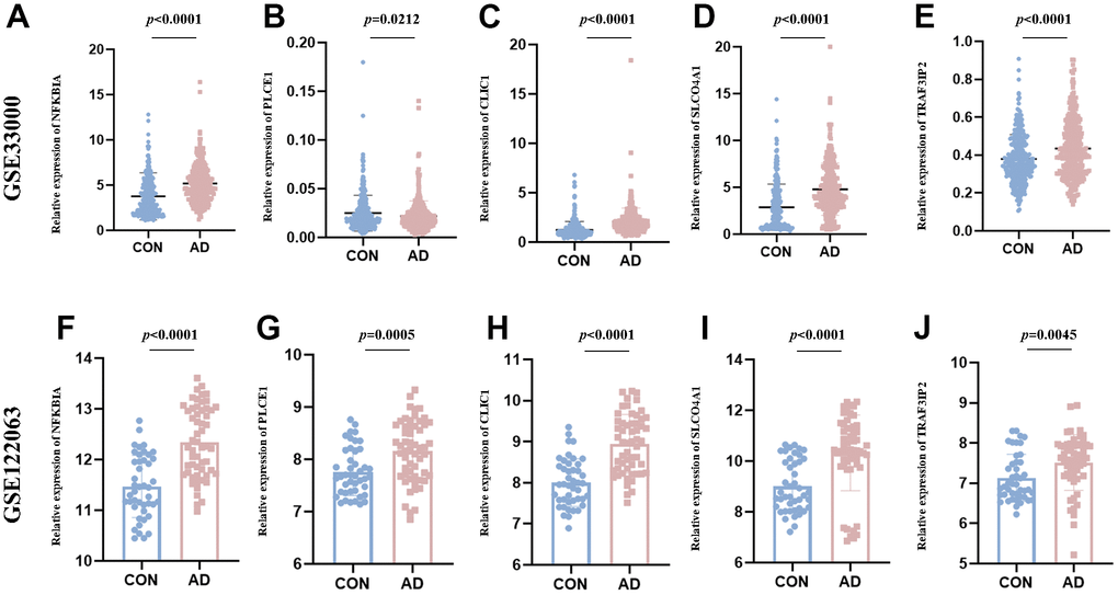 The expression value of NFKBIA, PLCE1, CLIC1, SLCO4A1 and TRAF3IP2. (A–E) Validated in the GSE33000. (F–J) Validated in the GSE122063. *p  0.05; **p  0.01; ***p  0.001.