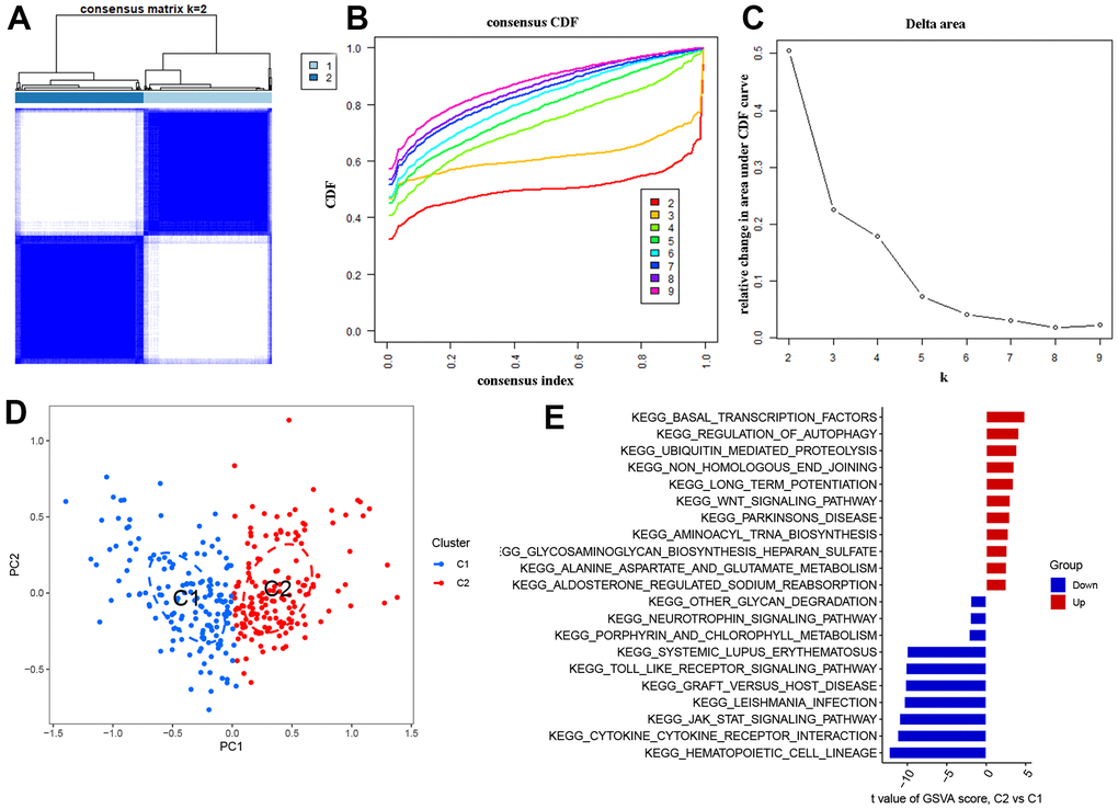 Identification of OS molecular clusters in AD. (A) Consensus clustering matrix when k = 2. (B, C) CDF delta area curves and the score of consensus clustering. (D) t-SNE analysis. (E) GSVA analysis between Cluster1 and Cluster2.