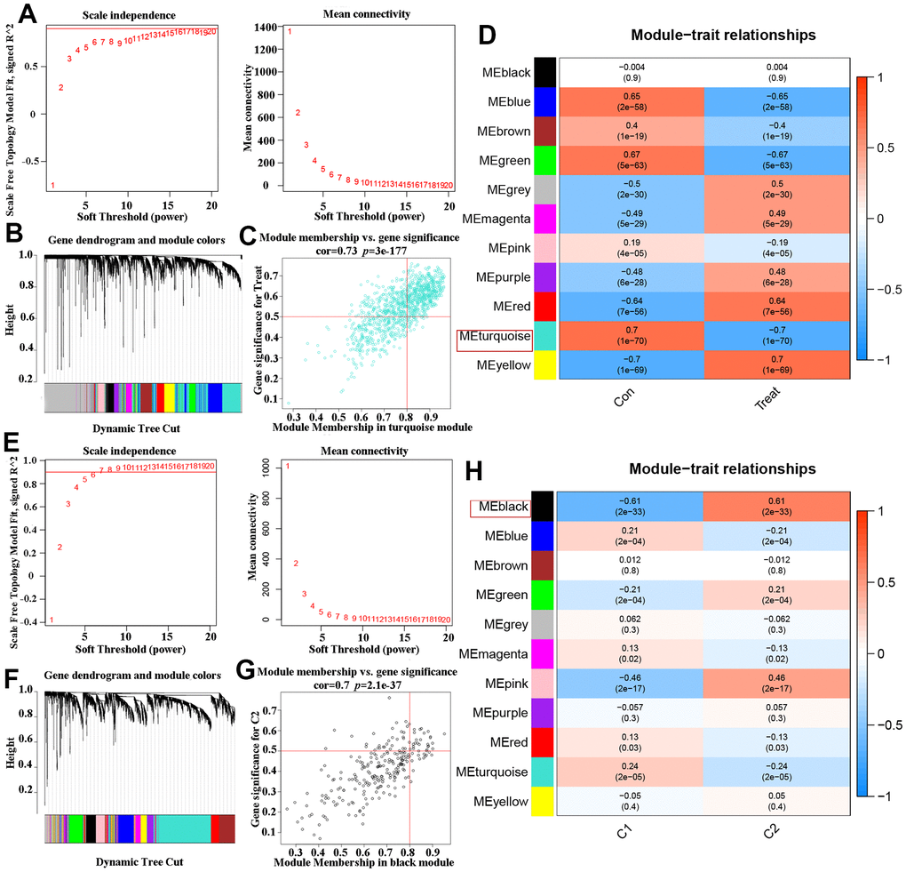 Co-expression network of DEGs in AD and two DEOSGs clusters. (A) The detection of soft threshold power in AD. (B) Cluster tree dendrogram of co-expression modules in AD patients. (C) Scatter plot in ME turquoise module and the DEGs significance for AD. (D) Heatmap of association of module feature genes with several clinical states. (E) The detection of soft threshold power in two DEOSGs clusters. (F) Cluster tree dendrogram of co-expression modules in the two DEOSGs clusters. (G) Scatter plot ME black module and the DEGs significance for the two DEOSGs clusters. (H) Correlation heatmap between two DEOSGs clusters.