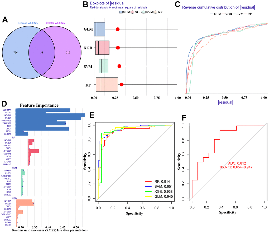 Identification of cluster-specific DEGs of machine models. (A) 33 overlapping DEGs of two WGCNA co-expression. (B, C) Residuals for the four machine learning models. (D) The important features in the four machine models. (E) ROC analysis. (F) The AUC values of GLM model in GSE122063 dataset.