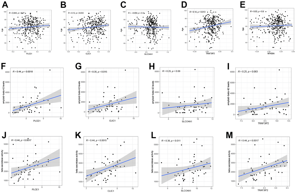 The correlation between five DEOSGs and clinical characteristics. (A–E) Correlation between PLCE1 (A), CLIC1 (B), SLCO4A1 (C), TRAF3IP2 (D), NFKBIA (E) and age (GSE33000). (F–I) Correlation between PLCE1 (F), CLIC1 (G), SLCO4A1 (H), TRAF3IP2 (I) and Aβ-42 (GSE106241). (J–M) Correlation between PLCE1 (J), CLIC1 (K), SLCO4A1 (L), TRAF3IP2 (M) and beta-secretase activity (GSE106241).