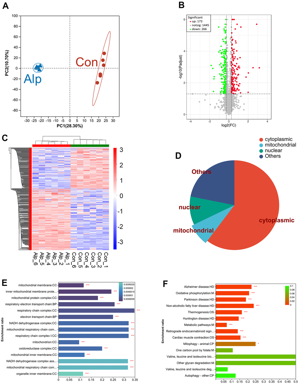 Proteomic analysis of the hippocampus of mice following repeated administration of Alp (n = 6 per group). (A) The PCA analysis of the protein profiles. (B) Volcano map of the expression of all DEPs, which red indicating upregulation and green indicating downregulation. (C) Heat map demonstrating DEPs expression levels of Alp-treated animals versus controls, with red indicating upregulation and blue indicating downregulation. (D) The proportion of distribution of DEP in subcellular locations such as cytoplasm, nucleus, and mitochondrial. (E) GO analysis demonstrates the biological processes and protein functions in which mitochondrial subcellular localization proteins were involved. (F) The KEGG results of DEPs were identical to 15 pathways in the KEGG results of network pharmacology. The different colors of the columns represent p-value.