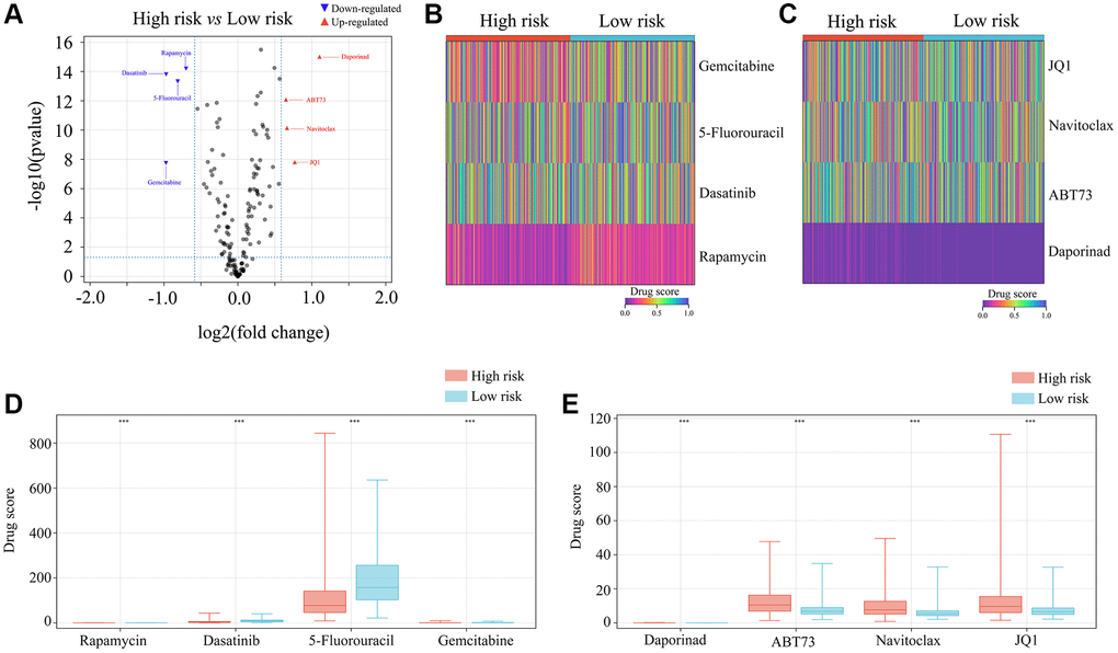 Selection of appropriate drugs for glioma patients in the high-risk group. (A–E) OncoPredict showed that the drug scores for rapamycin, dasatinib, 5-fluorouracil and gemcitabine differed between glioma patients in the high- and low-risk groups. ***P 