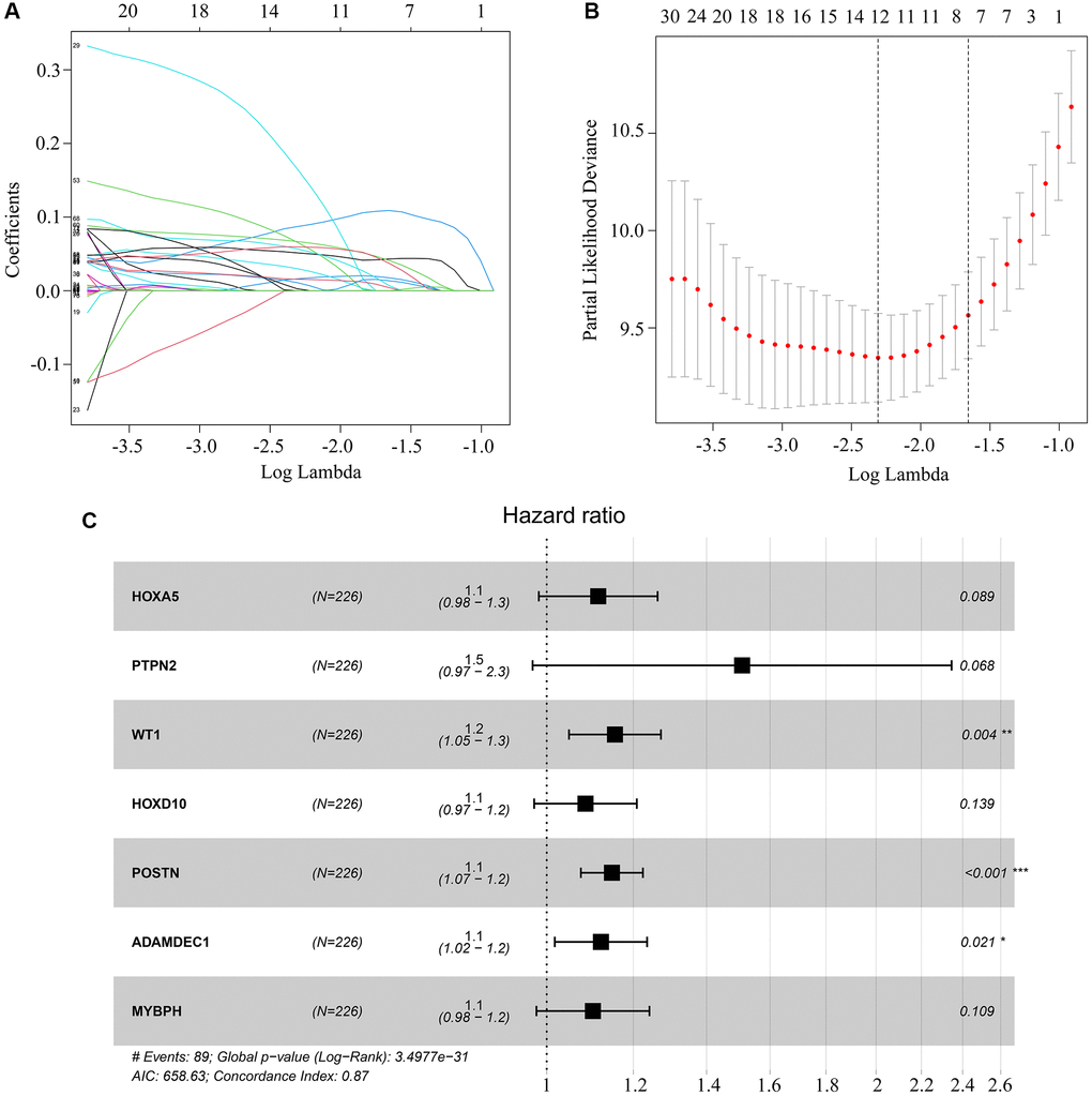 Key genes selected for risk model construction. (A, B) LASSO analysis of key genes associated with survival in ATRX-wt glioma patients. (C) Multivariate Cox regression analysis of HOXA5, PTPN2, WT1, HOXD10, POSTN, ADAMDEC1 and MYBPH. These seven genes were used for risk model construction.