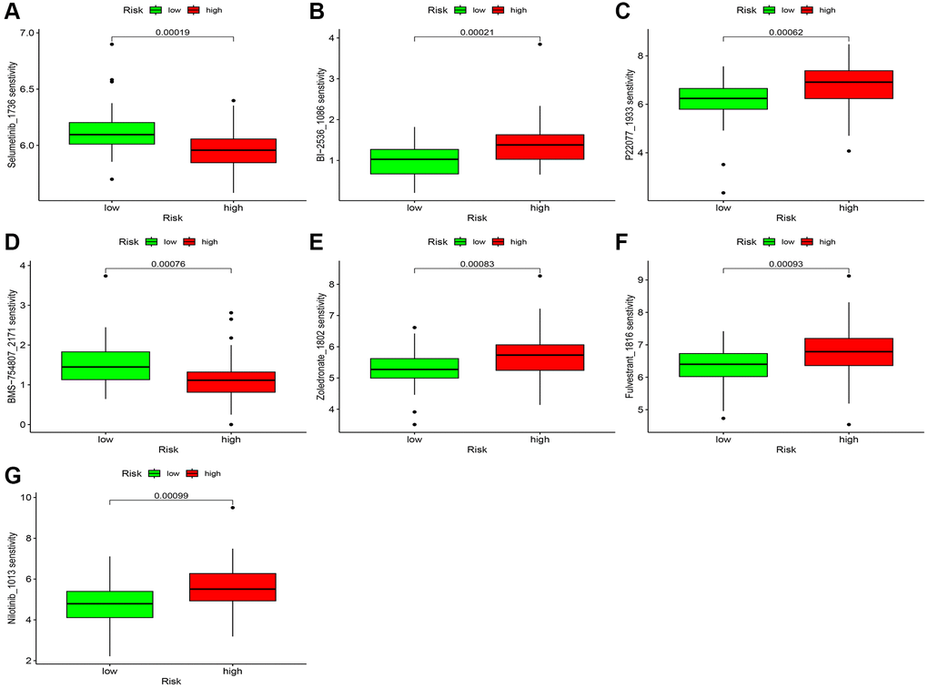 Chemotherapy sensitivity. (A–G) Chemosensitivity difference between two risk groups.