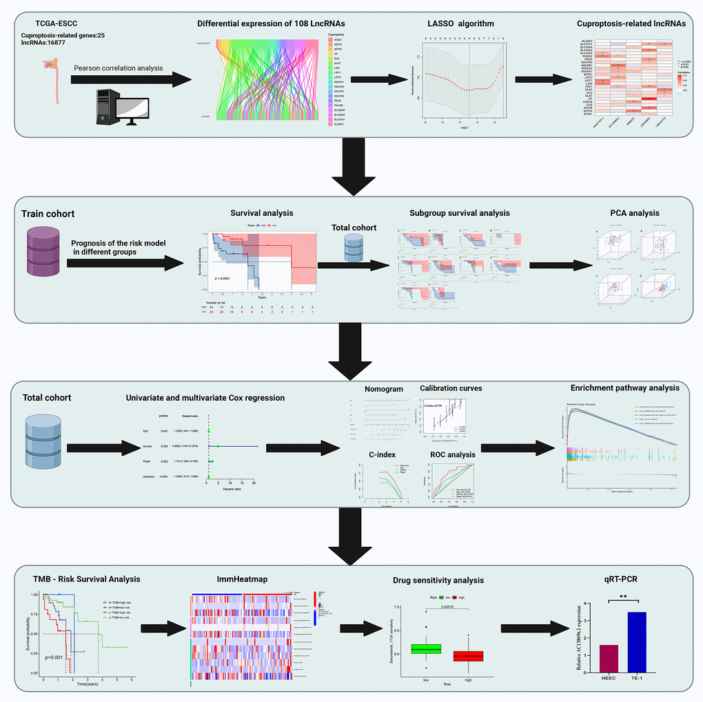 Overall flow diagram of the study.