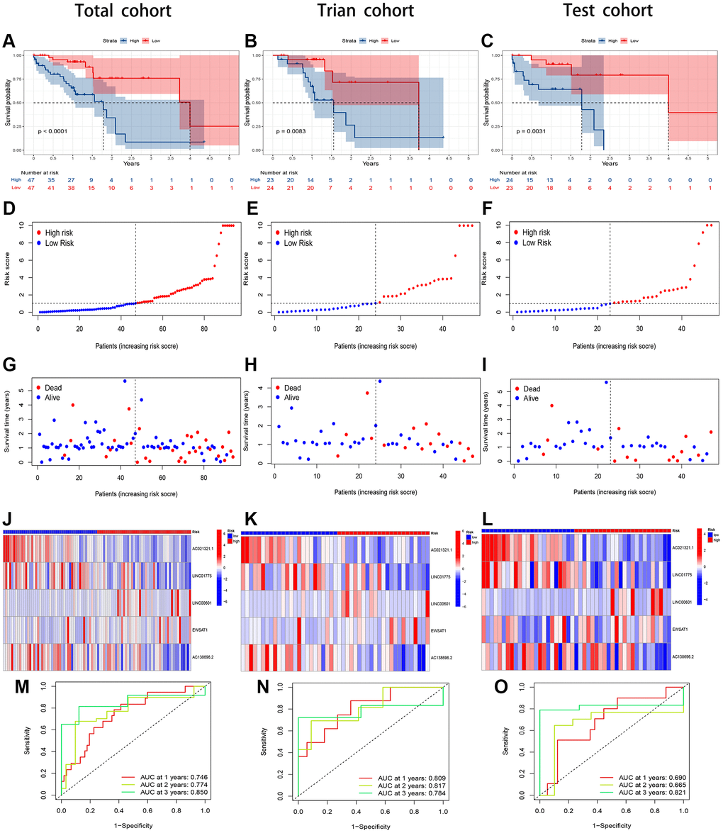 Evaluation of the CuRLs prognostic signature in the total, training and test cohorts. (A–C) Overall survival Kaplan-Meier survival curves. (D–F) Overall survival risk score. (G–I) Distribution of survival time and survival status. (J–L) Heatmap of 5 lncRNA expressions. (M–O) 1-, 2-, and 3-years overall survival area under the ROC curve of the signature.