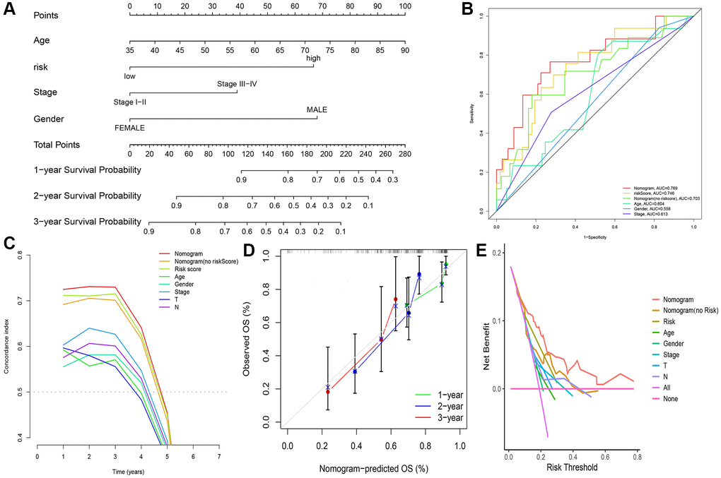 Construction of nomogram and validation of its predictive ability. (A) Nomogram to predict the overall survival of ESCC. (B) ROC curves for the risk score and other clinical characteristics. (C) C-Index curve for the risk score and other clinical characteristics. (D) Calibration curves for 1, 2, and 3 years of nomogram. (E) DCA curve of the nomogram.