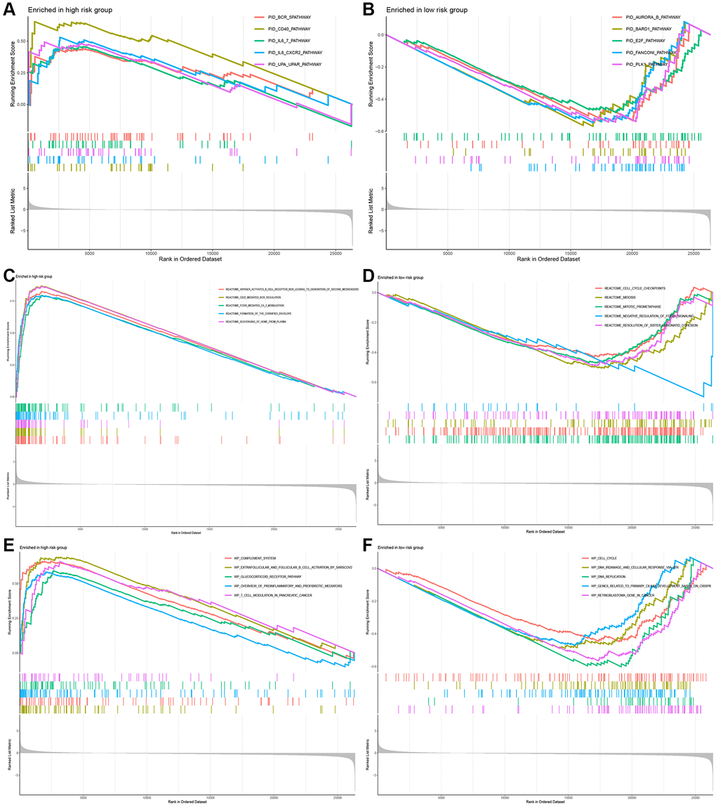 Functional analysis between the high-risk and low-risk groups. (A, B) The pathways of PID enriched in the low- and high-risk group. (C, D) The pathways of REACTOME enriched in the low- and high-risk group. (E, F) The pathways of WP enriched in the low- and high-risk group.