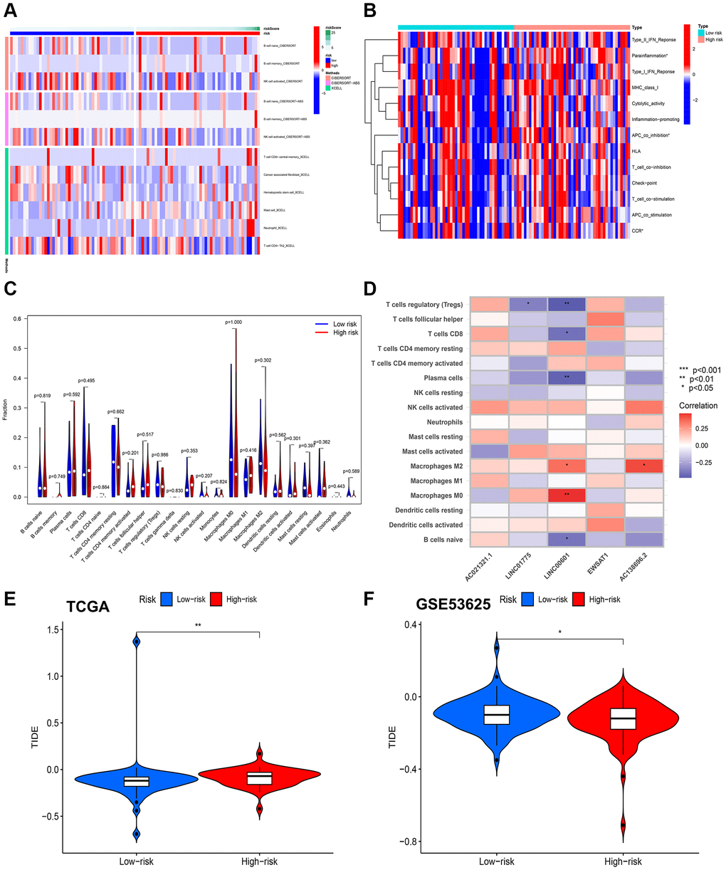 Results of immunity analysis. (A) Differences in immune infiltration between high- and low-risk groups using TIMER, CIBERSORT, CIBERSORT-ABS, QUANTISEQ, MCPCOUNTER, XCELL and EPIC. (B) Differences in expression of common immune checkpoints in the at-risk group. (C) Analysis of common immune cell differences in the risk group. (D) Analysis of CuRLs and immune cell correlation. (E) TIDE scores between the two groups in TCGA group. (F) TIDE scores between the two groups in GSE53625 group.