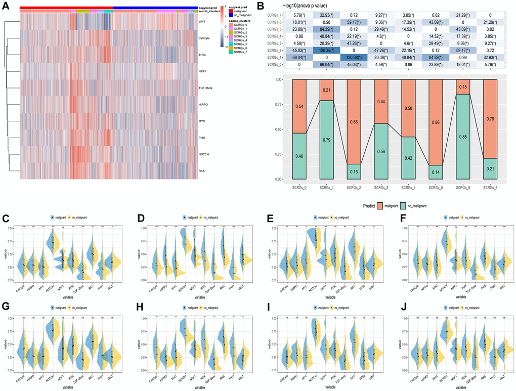 The characteristics of tumor-associated pathways in SCRGs clusters. (A) Heatmap of 10 tumor-associated pathways enriched in SCRGs cells. (B) Comparison between each cluster based on proportions of malignant and non-malignant cells. (C–J) Comparison of each pathway between malignant and non-malignant cells based on GSVA score in SCRGs clusters. (Wilcox. Test, *P **P ***P 