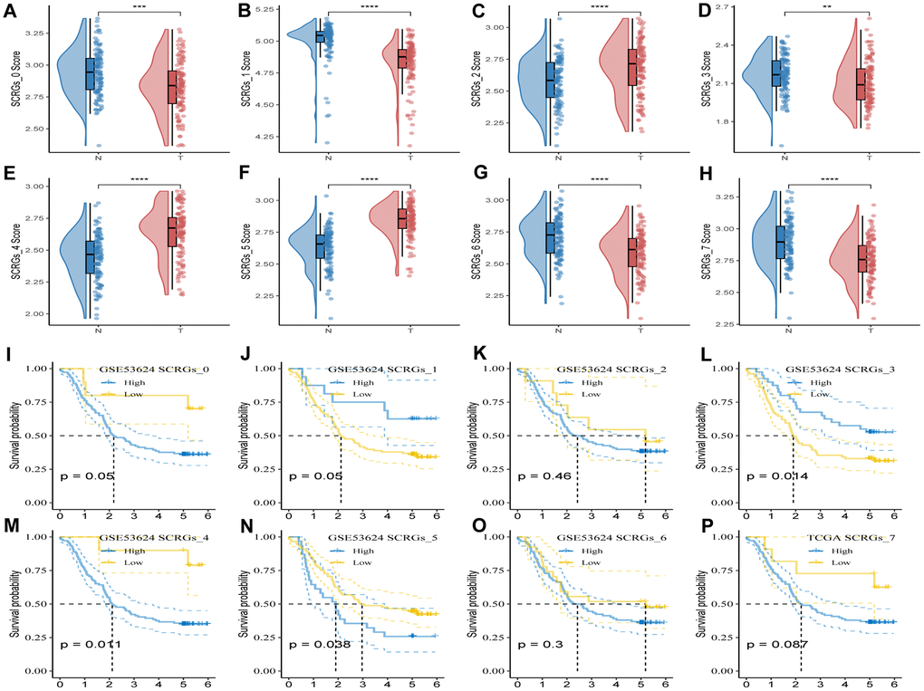 GSVA analysis based on SCRGs clusters. (A–H) Comparison of ssGSVA score based on each cluster between normal samples and tumor ones. (I–P) K-M curves of the high and low SCRGs score groups in the SCRGs clusters. (**P ***P ****P 