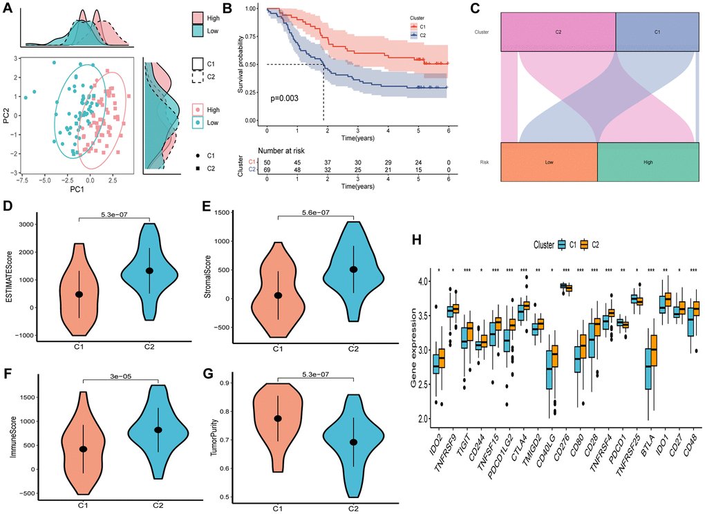 Consensus clustering based on nine prognostic SCRGs expression. (A) PCA depicted the distribution for clusters. (B) Survival analysis based on the two clusters. (C) The Sankey diagram of the connection between clusters and high-and low-risk group. (D) ESTIMATEScore difference between two clusters. (E) SromalScore difference between two clusters. (F) ImmuneScore difference between two clusters. (G) TumorPurity difference between two clusters. (H) Expression difference of immune checkpoints between two clusters. (*P **P ***P 