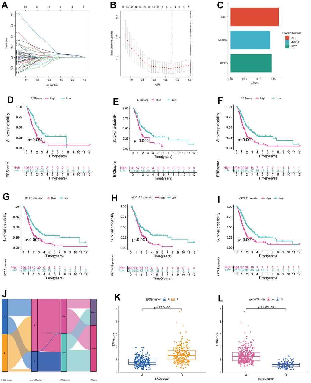 Establishment of endoplasmic reticulum stress-related prognostic model. (A) Coefficient path diagram for LASSO regression. (B) The cross-validation curve. (C) Coefficients of MET, MUC16, and KRT7 in the model. Survival curve of the training cohort (D), validation cohort (E), and whole cohort (F). Survival curve between high-expression and low-expression groups of MET (G), MUC16 (H), and KRT7 (I). (J) Alluvial diagram of changes in ERGclusters, geneClusters, ERS score and survival state. (K) The difference of ERS score between ERGcluster A and B. (L) The difference of ERS score between geneCluster A and B.