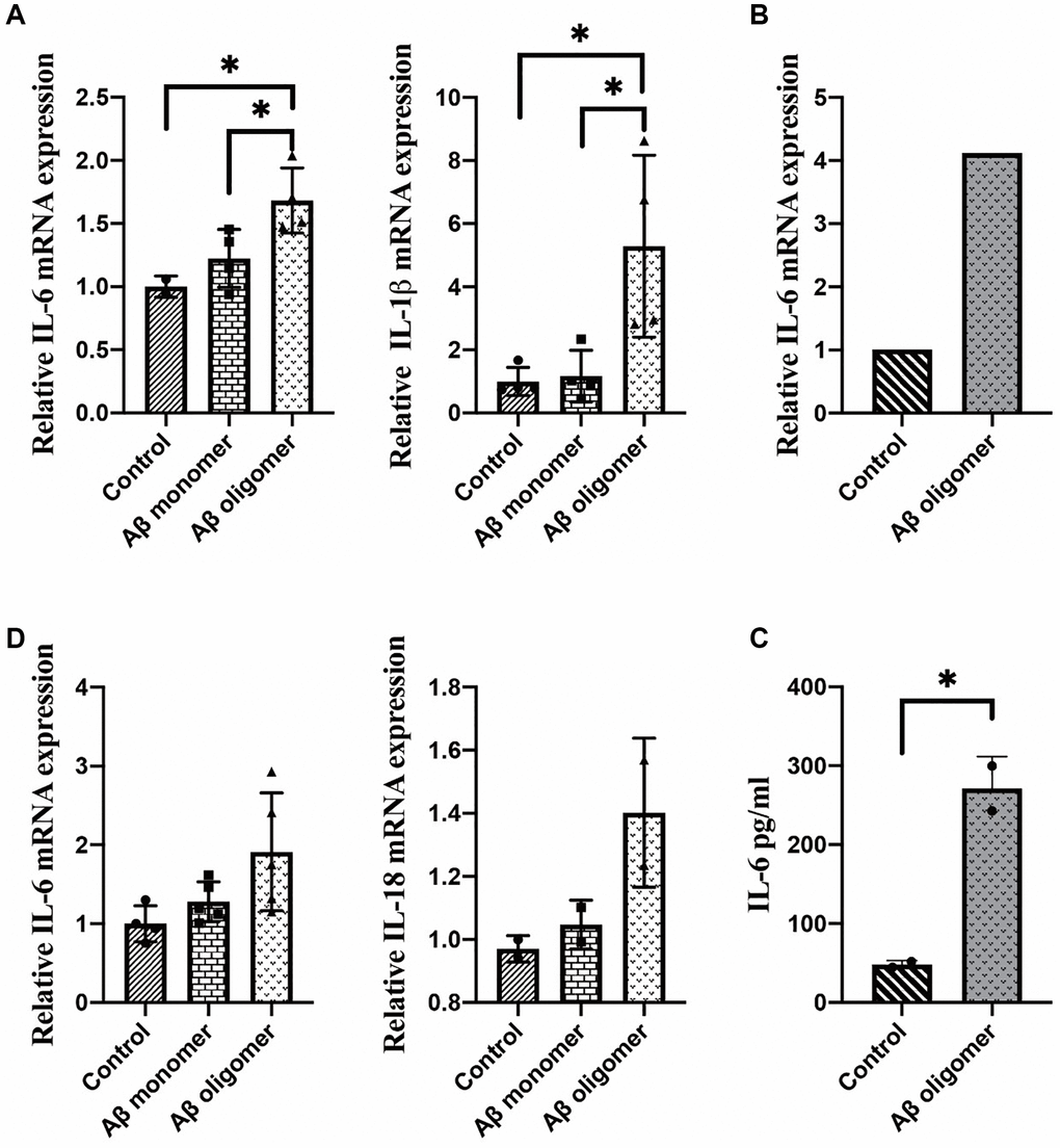 (A) The expression of IL-1β and IL-6 after 2 days of stimulation, (B) The expression of IL-6 after 1 hour of stimulation, (C) The secretion of IL-6 in the culture medium, and (D) The inflammatory responses in microglia stimulated by monomers compared with human Aβ oligomers (*P 