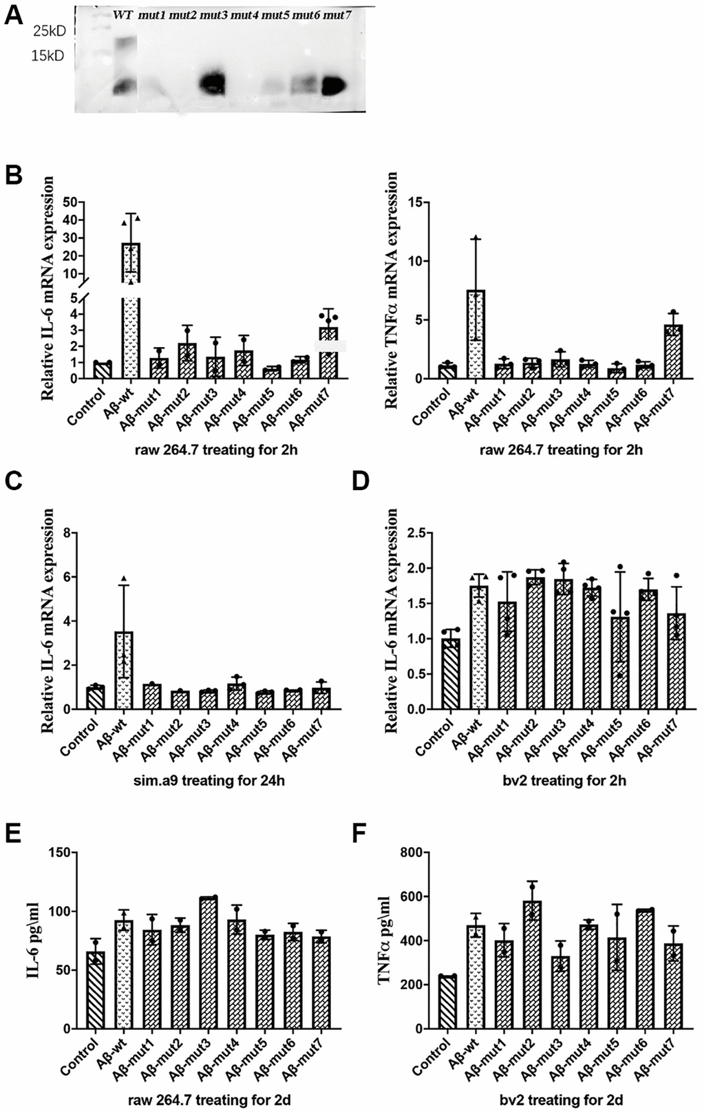 (A) Western blot analysis of non-mutants and mutants, (B) The expression of IL-6 and TNFα in response to non-mutants and mutants, (C, D) The inflammatory response of microglial cells to non-mutant and mutants from C57BL/6 mice and bv2 cells respectively, and (E, F) The concentration of IL-6 in RAW 264.7 cells and TNFα in bv2 cells in response to non-mutant and mutants, as determined by ELISA kits.