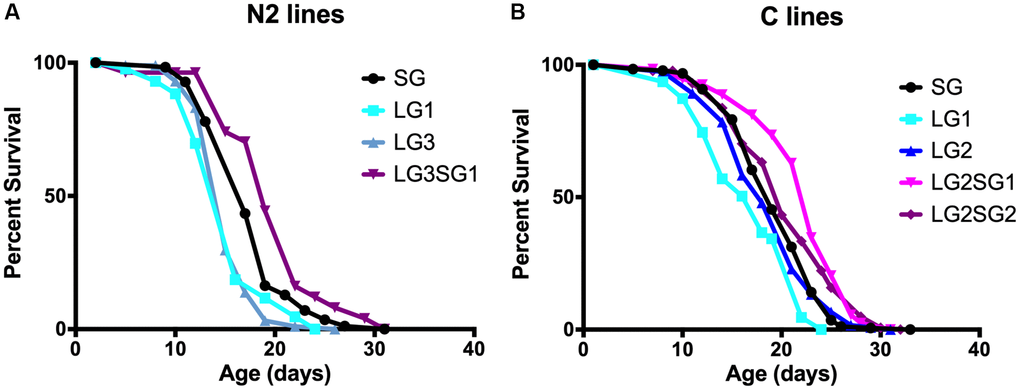 Effect of parental age on the longevity of C. elegans progeny. Lifespan analysis of C. elegans N2 (A) and C lines (B). SG animals were generation 5 compared to LG3 (A) and 4 compared to LG2 (B). N = 47–187 per line. See Table 2 for replicate experiments and statistical analysis.