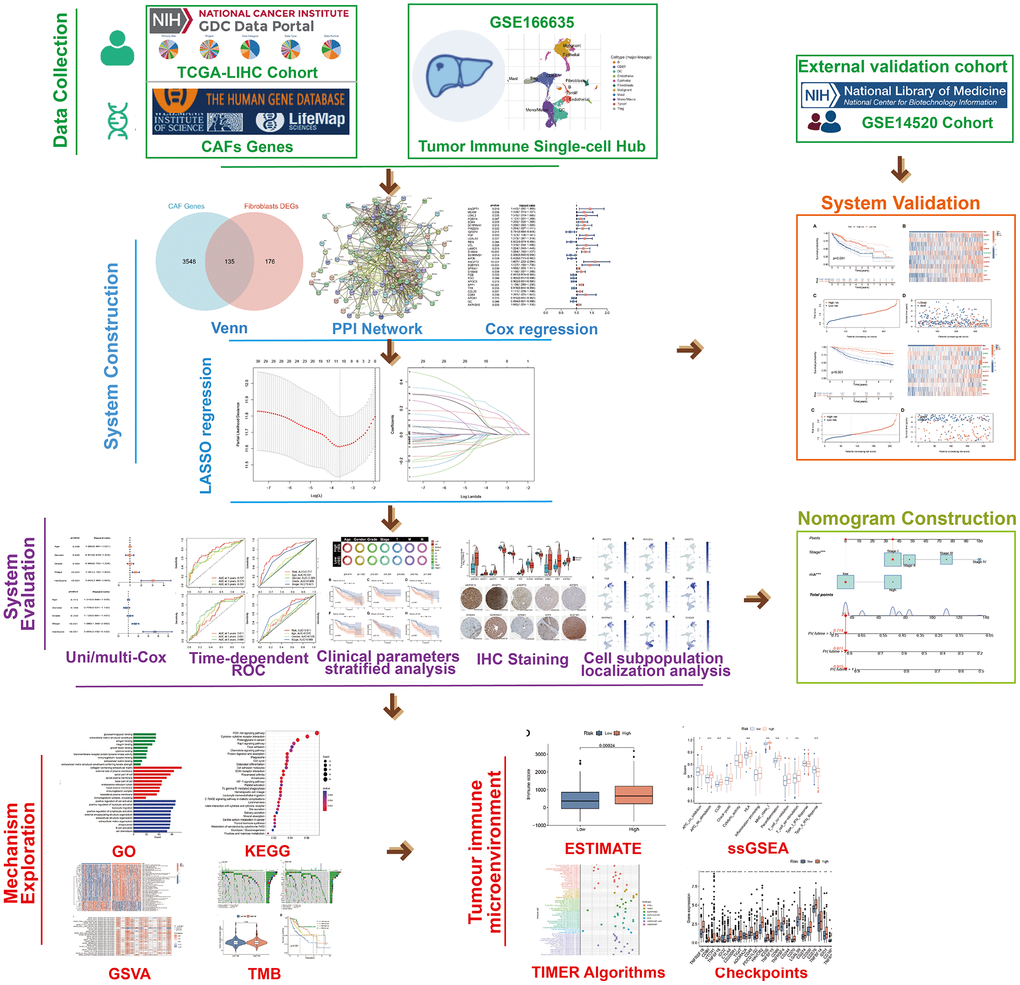 The flow chart of the study.