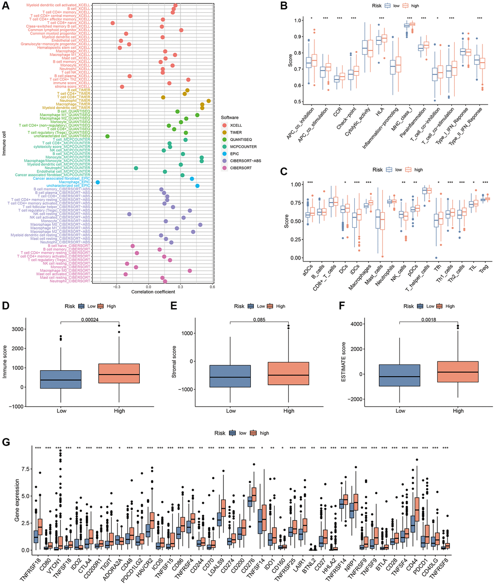 TIME analysis based on the CAFRss. (A) Bubble plots display the correlation between risk scores and different immune cells in the TIMER 2.0 platform. (B) ssGSEA shows differences in immune function score across the subgroups. (C) ssGSEA shows differences in immune cells score across the risk groups. (D–F) Box plots display the differences in immune, stromal and ESTIMATE scores across the two subgroups. (G) Box plots show the differences in expression of immune checkpoints across the risk subgroups. *P **P ***P 