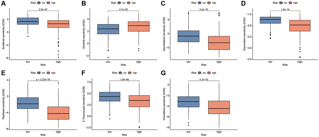 Drug sensitivity analysis based on the CAFRss. (A–G) Box plots display the drugs with different IC50 values across the risk subgroups.