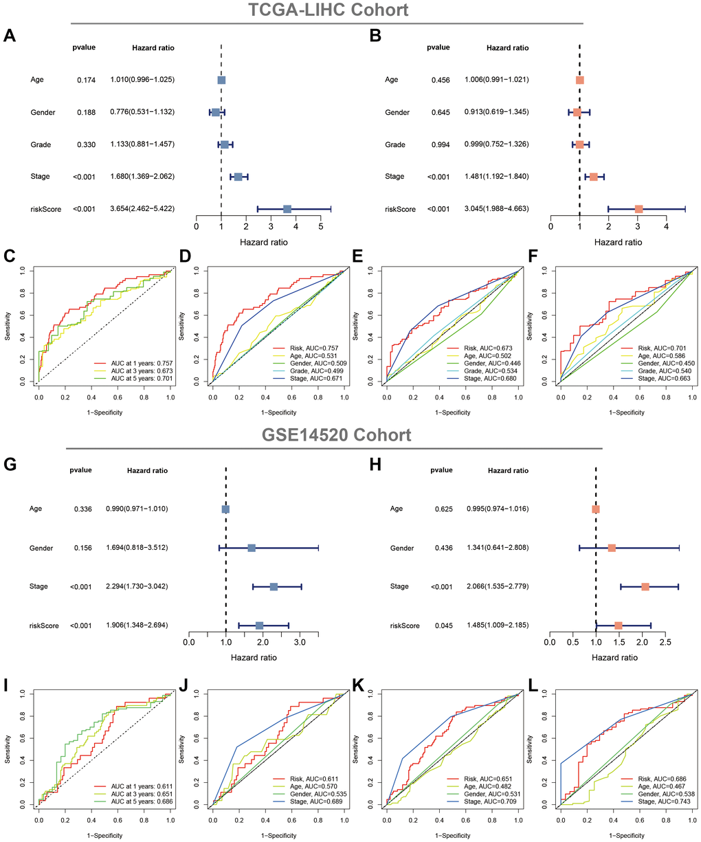 Evaluation of the CAFRss. (A, B) Forest plots of uni- and multi-Cox analyses of the TCGA cohort. (C) ROC curves for the CAFRss. (D–F) Comparison of AUC of CAFRss with age, stage, grade and gender at 1, 3 and 5 years. (G, H) Forest plots of uni- and multi-Cox analyses of the GSE14520 cohort. (I) ROC curves for the CAFRss. (J–L) Comparison of AUC of CAFRss with age, stage and gender at 1-, 3- and 5-years in the GSE14520 cohort.