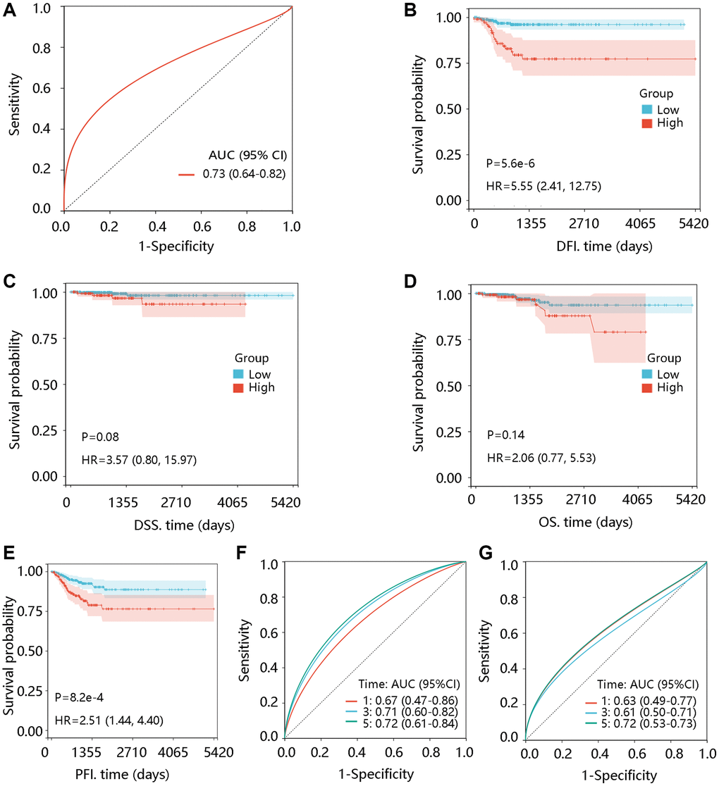 Prognostic significance of TTK in PTC. (A) Value of TTK in distinguishing the PTC and normal tissues. The association of TTK with (B) disease-free interval (DFI), (C) disease-specific survival (DSS), (D) overall survival (OS), and (E) progression-free interval (PFI). TTK showed a certain ability in predicting the (F) DFI and (G) PFI status. Abbreviations: AUC: area under the curve; HR: hazards ratio; 95% CI: 95% confidence interval.