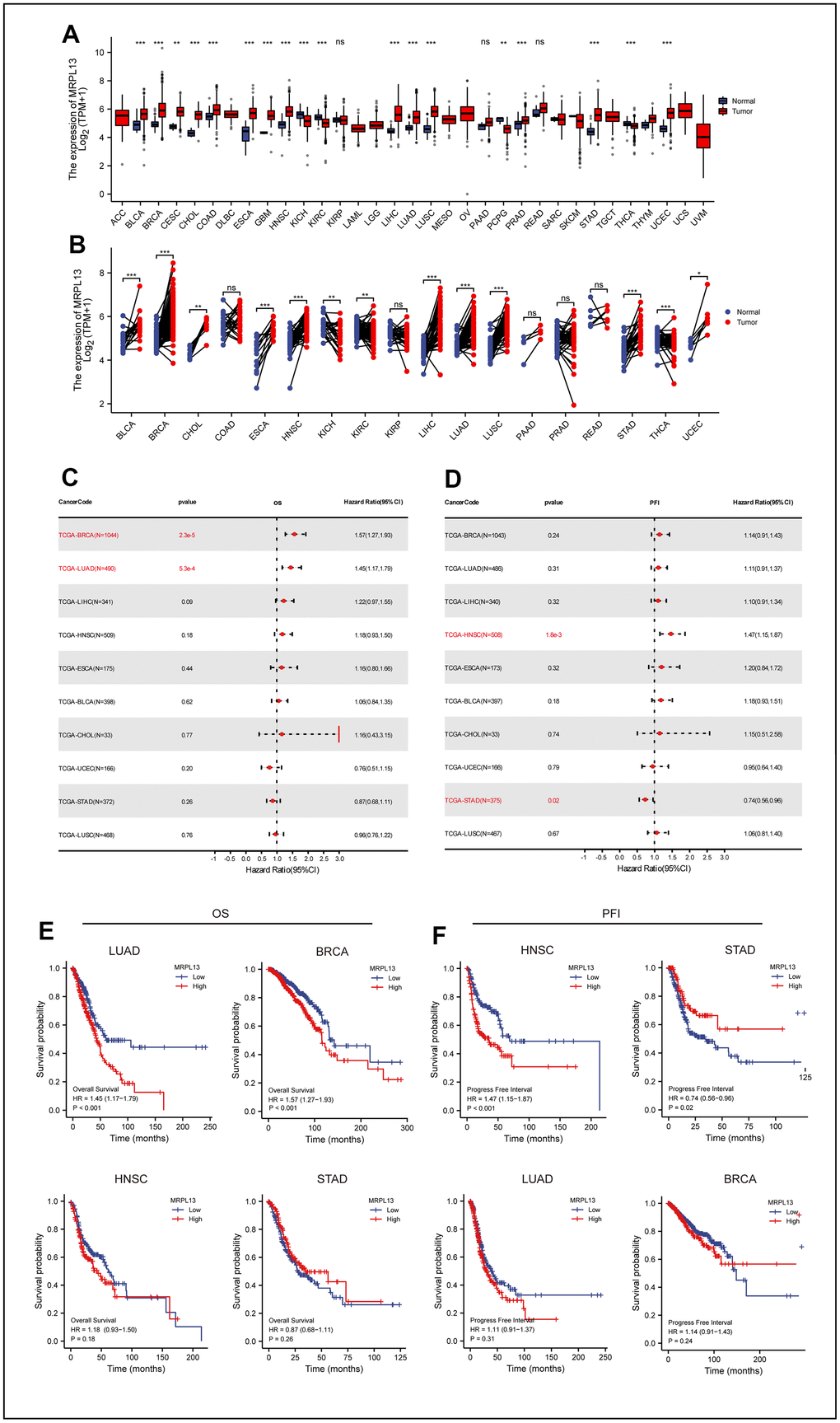 Differential expression of MRPL13 in pan-cancer and the relationship between MRPL13 expression and prognosis of pan-cancer. (A) Comparison of MRPL13 expression between tumor and normal samples. (B) Comparison of MRPL13 expression between tumor and paired normal samples. (C) Forest plot of OS associations in 33 types of tumors. (D) Forest plot of PFI associations in 33 types of tumors. (E, F) Kaplan–Meier analysis of the association between MRPL13 expression and OS/PFI. *p 
