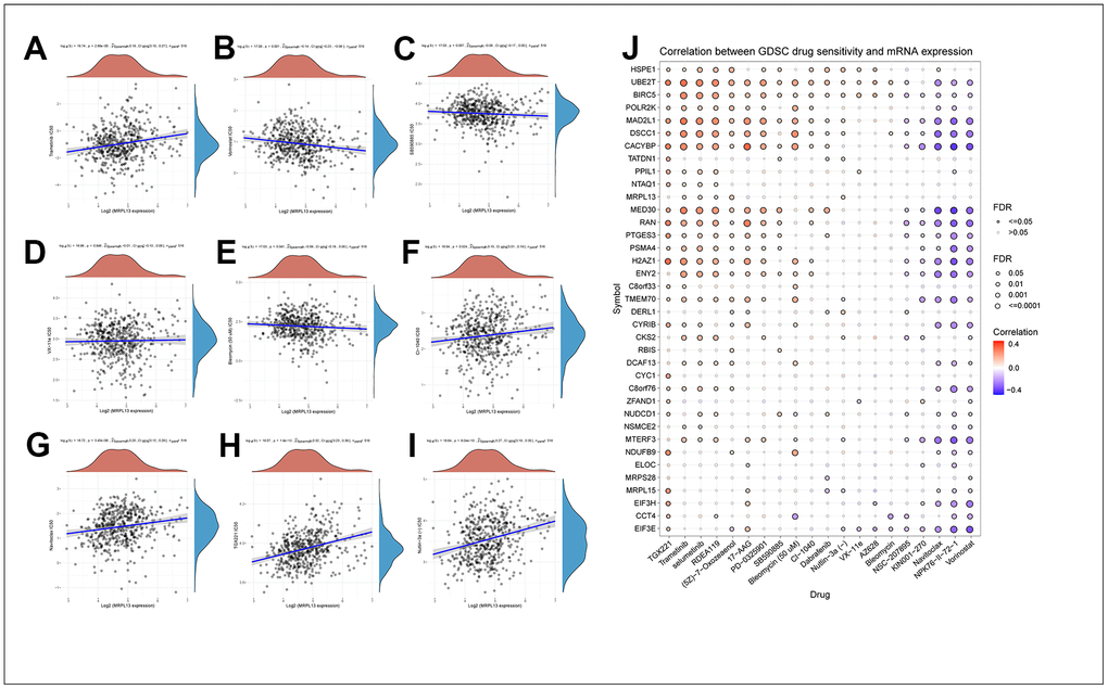 Drug sensitivity analysis of PNPO and the genes that MRPL13-related. (A) Trametinib. (B) Vorinostat. (C) SB590885. (D) VX−11e. (E) Bleomycin. (F) CI-1040. (G) Navitoclax. (H) TGX221. (I) Nutlin-3A. (J) Correlation between GDSC drug sensitivity and the genes that MRPL13-related.