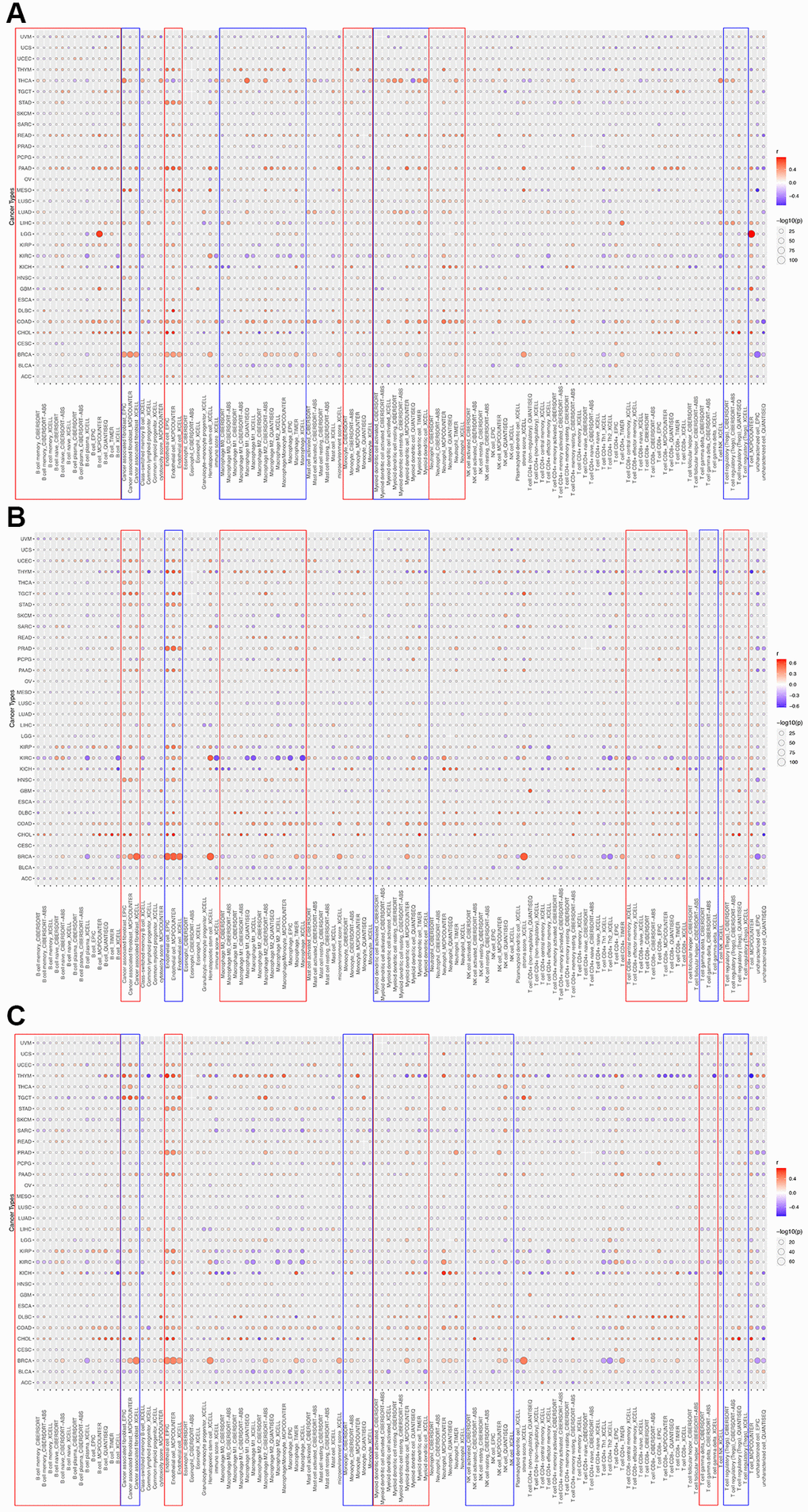 The correlations of HOXD1 (A), HOXD3 (B), and HOXD4 (C) expression and the infiltration levels of CD4+ T cells, CAF, progenitor, Endo, Eos, HSC, Tfh, γδT, regulatory T cells (Tregs), B cells, neutrophils, monocytes, macrophages, dendritic cells, NK cells, Mast cells and CD8+ T cells in cancers.