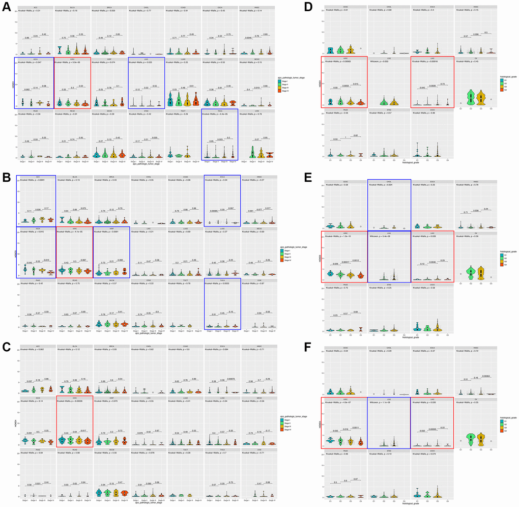 Association between HOXD1, HOXD3, and HOXD4 expression and tumor stage and histological grade in cancers. (A–C) Association between HOXD1, HOXD3, and HOXD4 expression and tumor stage in 21 cancers. (D–F) Association between HOXD1, HOXD3, and HOXD4 expression and histological grade in 11 cancers.