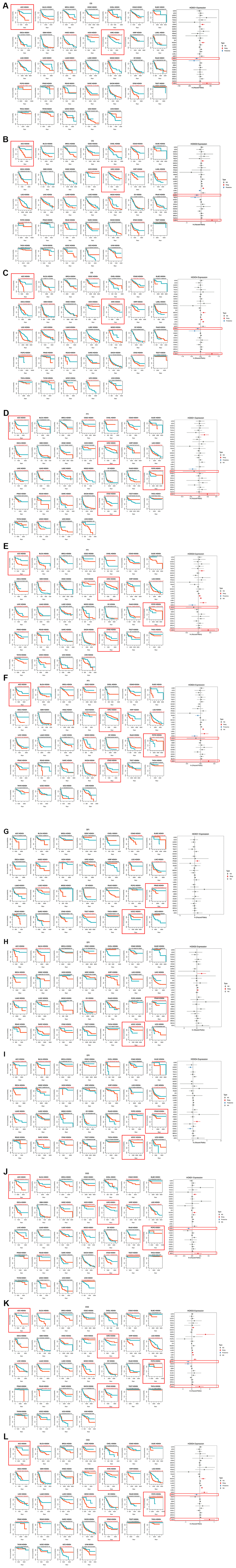 Association between the HOXD1, HOXD3, and HOXD4 expression and the OS, PFI, DFI, and DSS of cancer patients. (A–C) Kaplan-Meier curves showing OS in pan-cancer. Forest plot showing OS after Cox analysis in pan-cancer (right). (D–F) Kaplan-Meier curves showing PFI in pan-cancer. Forest plot showing PFI after Cox analysis in pan-cancer (right). (G–I) Kaplan-Meier curves showing DFI in pan-cancer. Forest plot showing DFI after Cox analysis in pan-cancer (right). (J–L) Kaplan-Meier curves showing DSS in pan-cancer. Forest plot showing DSS after Cox analysis in pan-cancer (right).