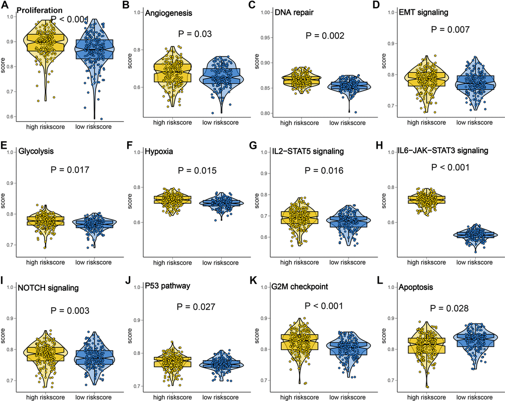 Gene set enrichment analysis of PI3K/Akt pathway related signature (PRS). The gene score of hallmark gene sets correlated with proliferation (A), angiogenesis score (B), DNA repair score (C), EMT signaling score (D), Glycolysis score (E), Hypoxia score (F), IL2-STAT5 signaling score (G), IL6-JAK-STAT3 signaling score (H), NOTCH signaling score (I), P53 pathway score (J), G2M checkpoint score (K) and apoptosis (L) in low and high risk score.