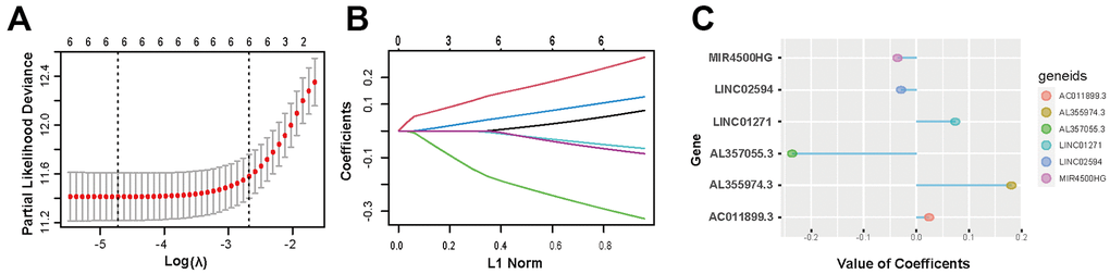 Screening of 6 PD-L1-related lncRNAs. (A, B) LASSO regression analysis is employed to determine the optimal penalty coefficient (λ). (C) Regression coefficients of 6 PD-L1-related lncRNAs.