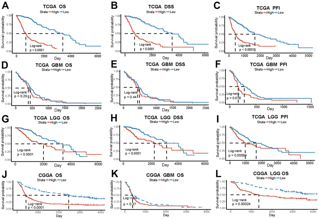The risk score based on PD-L1-related lncRNAs indicates glioma patients’ prognosis. (A–C) OS, DSS, PFI in the high and low-risk group of all glioma patients in TCGA. (D–F) OS, DSS, PFI of GBM patients in TCGA. (G–I) OS, DSS, PFI of LGG patients in TCGA. (J–L) OS of all patients, GBM and LGG patients in CGGA.