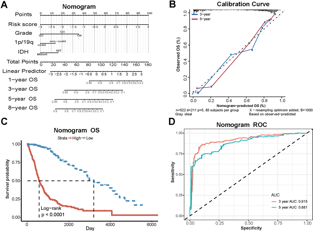 Clinical models based on PD-L1-related lncRNAs and clinical characteristics. (A) The nomogram combining risk scores and clinical case characteristics according to TCGA data. (B) The calibration curves showing the predicted and actual observed OS rates. (C) Survival analysis of new high-risk group and low-risk group. (D) The ROC curves and AUC values of the nomogram.